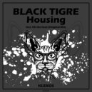 BLACK TIGRE - Hit the Beat (Original Mix)