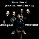 System of a Down - Chop Suey! (Daniel Pinho Extended Remix)