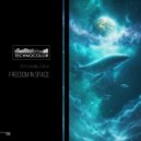 Ustyuzhanin Zhenya - Freedom in Space (Original Mix)
