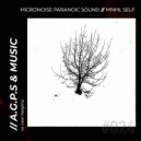Micronoise Paranoic Sound - We Love Techno Electroclash (Original Mix)
