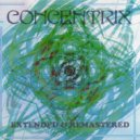 Concentrix - The Divine Accident