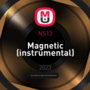 NS13 - Magnetic