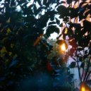 brain tumor - i miss c418 ()