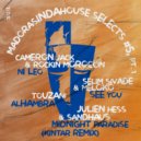Touzani - Alhambra