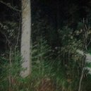 hateasio0 - come to me ()