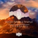 Maf3sto Musique & Amethyst - Emabaleni (Original Mix)