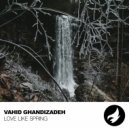 Vahid Ghandizadeh - Love Like Spring (Original Mix)