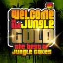 DJ Hybrid feat. Haribo - Raised In The Jungle