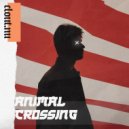 Wyt, Arzon - Animal Crossing