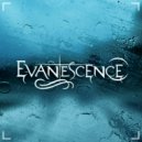 Evanescence - Bring Me To Life (merchant \'shalimar\' Edit)