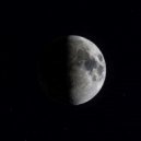 Taleesman - The Amazonian