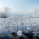 Stine Grove & James Dymond - Purely Beautiful