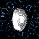 LuxRay - Decoherence