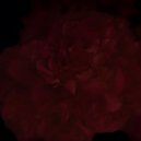 Two Demons - Mono No Aware ()