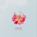 Annuki & Gritsey - Colour