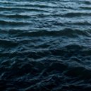 crdcon - whale night ()