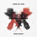 Kings Of Leon - Use Somebody (WESH Remix)