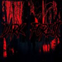 Hazzvool - Dark Forest ()