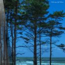 Hic et Nunc - Galvanized