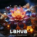 Lahva (NL) - Flower Essences