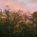 ГМ3Р - Emotion ()