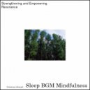 Sleep BGM Mindfulness - Sea of Tranquility (Original Mix)