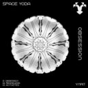 Space Yoda - Regadless (Extended Mix)