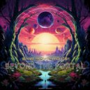 Silver Space Master - Beyond The Portal (Original Mix)