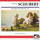 Sylvia Capova - Schubert Impromptu in A flat major, Op. 142 No. 2 - Allegreto ()