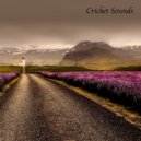 White Noise For Babies & Crickets & Baby Sleep Sounds - Cricket Sound 5 - Loopable With No Fade ()