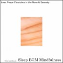 Sleep BGM Mindfulness - Journey to Night\'s Embrace with the Melodies of Brain Frequencies (Original Mix)