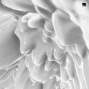 Nihil Young, Beacon Bloom, Olivier Giacomotto - A New Kind (Olivier Giacomotto Remix)
