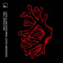 Loco & Jam - Your Experience