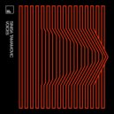 Sinisa Tamamovic - D Time