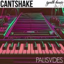 PALISVDES - Cantshake (Original Mix)
