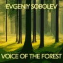 Evgeniy Sobolev - Voice of the forest ()