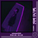 baheman5928 - Analog Voice ()