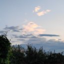 YNGWHITREEX - mistakes ()