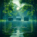 The Ambientalist - Everything Matters ()