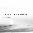Soulexis - After the storm ()
