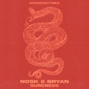 Nosk & Bryan - Sureness (Original Mix)