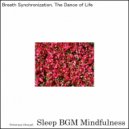 Sleep BGM Mindfulness - Harmony in Depths with Lullabies for Deep Mental Balance and Sound Rest (Original Mix)