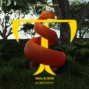 Mesa & Boss - Achromatic