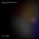 Kaamin & Parallel Voices - Your Mind (Extended Mix)