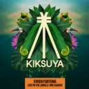 Evren Furtuna - One Chance