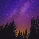 Sharkycat - Forest night ()