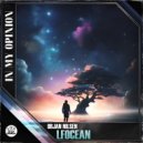 Orjan Nilsen - FLOcean