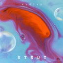 ARDLAP - STRUT