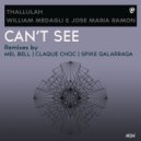 Thallulah, William Medagli and Jose Maria Ramon - Can\'t See (Instrumental)
