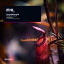 Shayan Pasha - Synesthesia